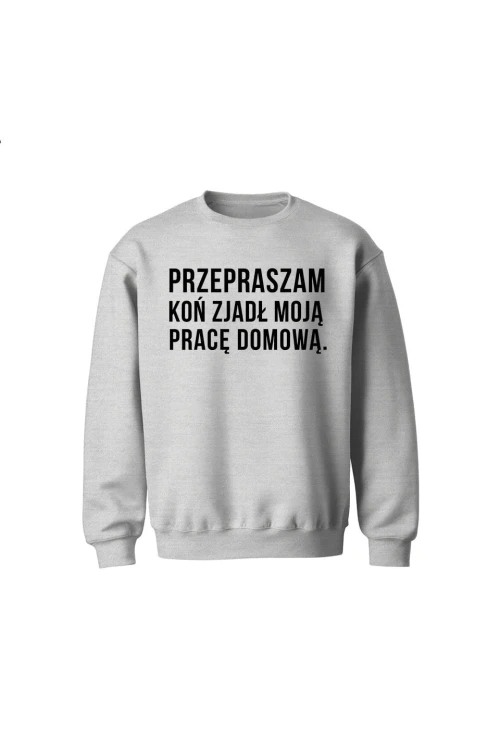 Bluza dziecięca bez kaptura Przepraszam koń zjadł moją pracę domową - szara
