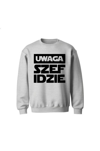 Bluza dziecięca bez kaptura Uwaga szef idzie - szara