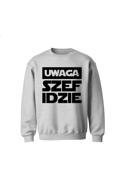 Bluza dziecięca bez kaptura Uwaga szef idzie - szara