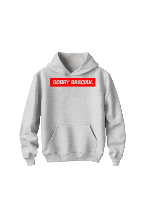 Bluza dziecięca z kapturem Dobry braciak - szara