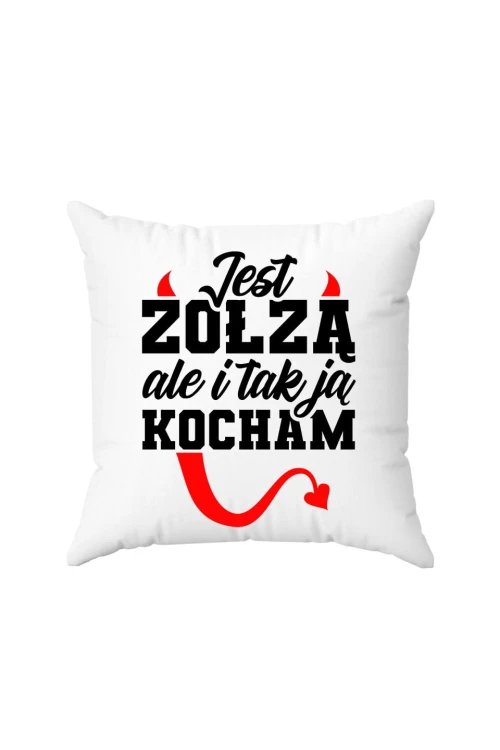 Poduszka Jest zołzą ale i tak ją kocham