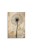 fafb02c2acbbee2107a0419df5be3af6