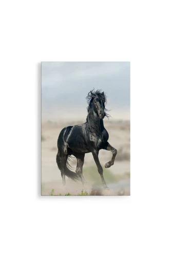 Obraz Galop Pośród Pustynnych Wydm KO 14