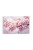 a222d9e717f1630a311dfdb9306af584