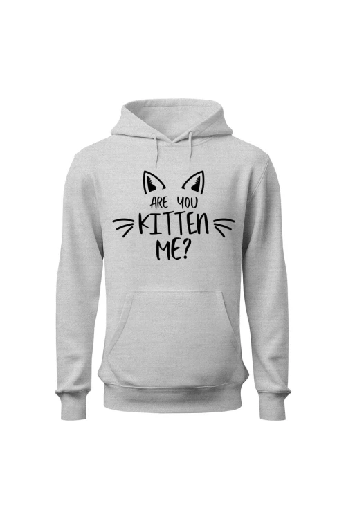 Bluza męska z kapturem Are you kitten me? - szara