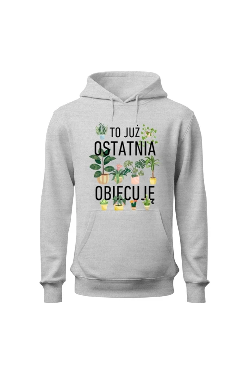 Bluza męska z kapturem To już ostatnia obiecuję - szara