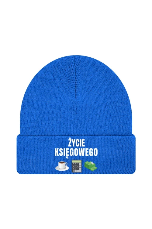 Czapka zimowa Życie księgowego - niebieska