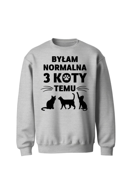 Bluza bez kaptura Byłam normalna 3 koty temu - szara