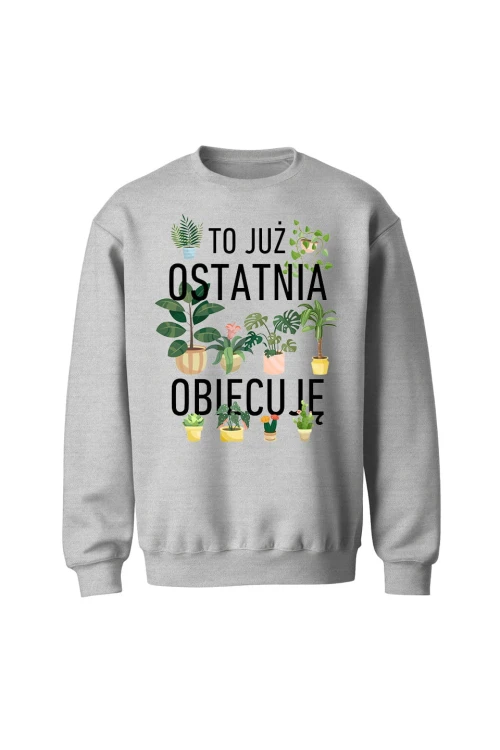 Bluza bez kaptura To już ostatnia obiecuję - szara